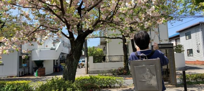 したたかなるグレー