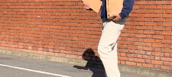 セットになった紙袋のような革袋とＡ４ファイル